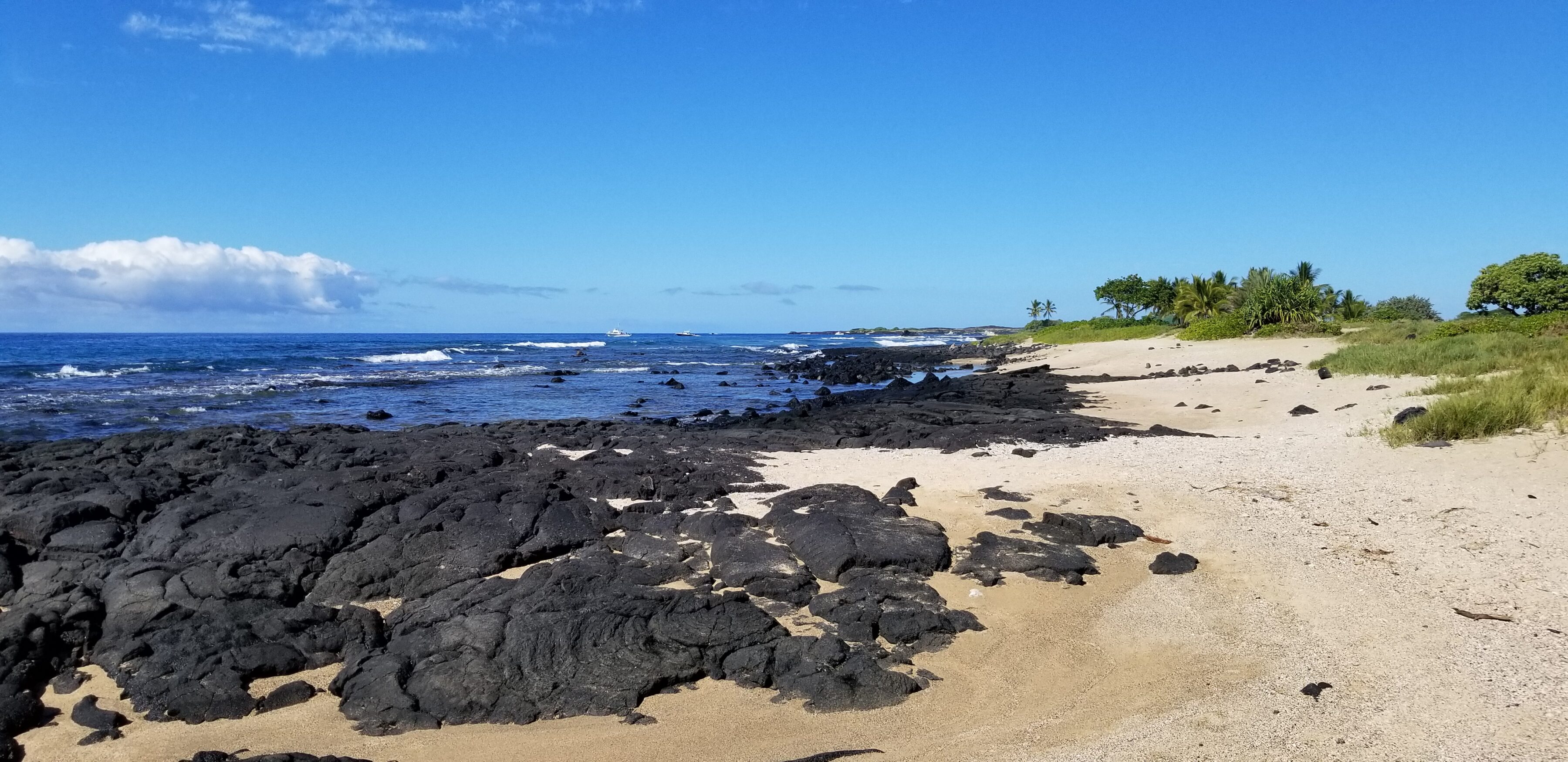 A perfect beach day on the Big Island of Hawaii | Julie Edens Coldwell Banker Island Properties