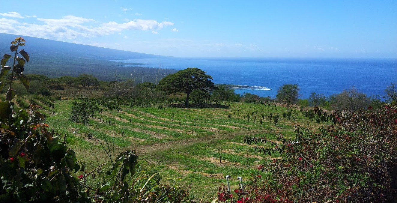 r Makai: Choosing between oceanside or mountain living in Hawaii