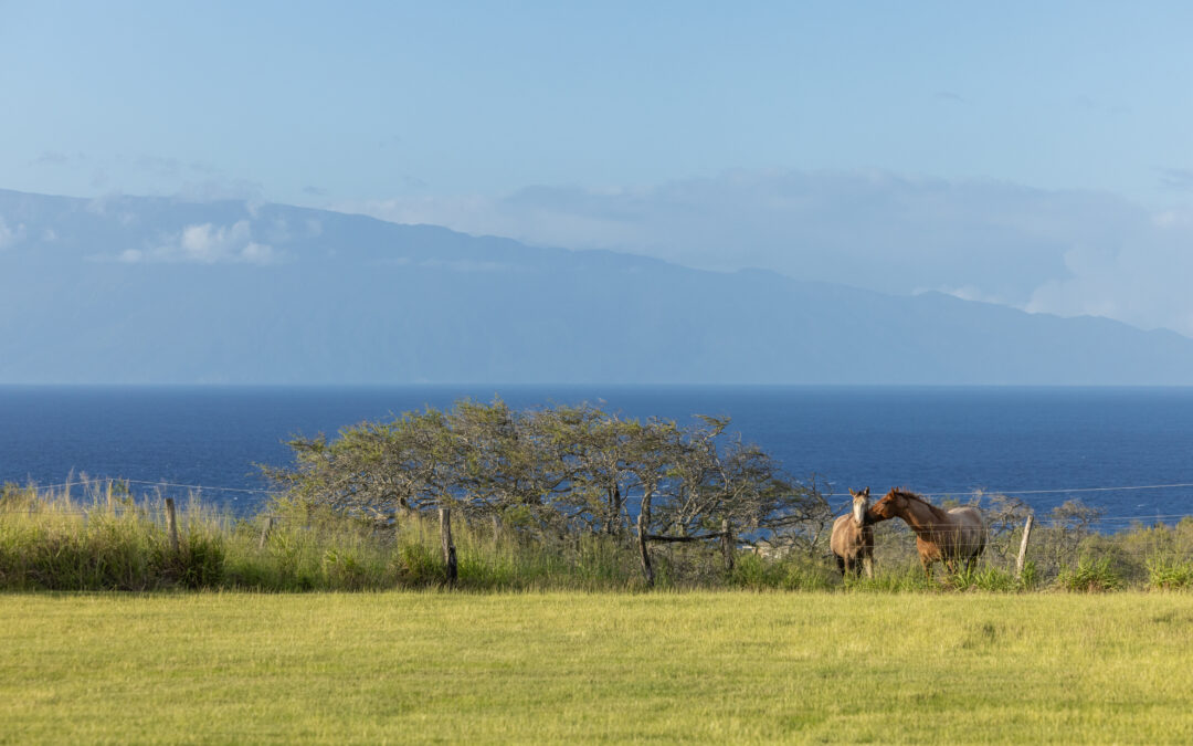A Private 21-Acre Ranch Retreat in the Land of Imagination